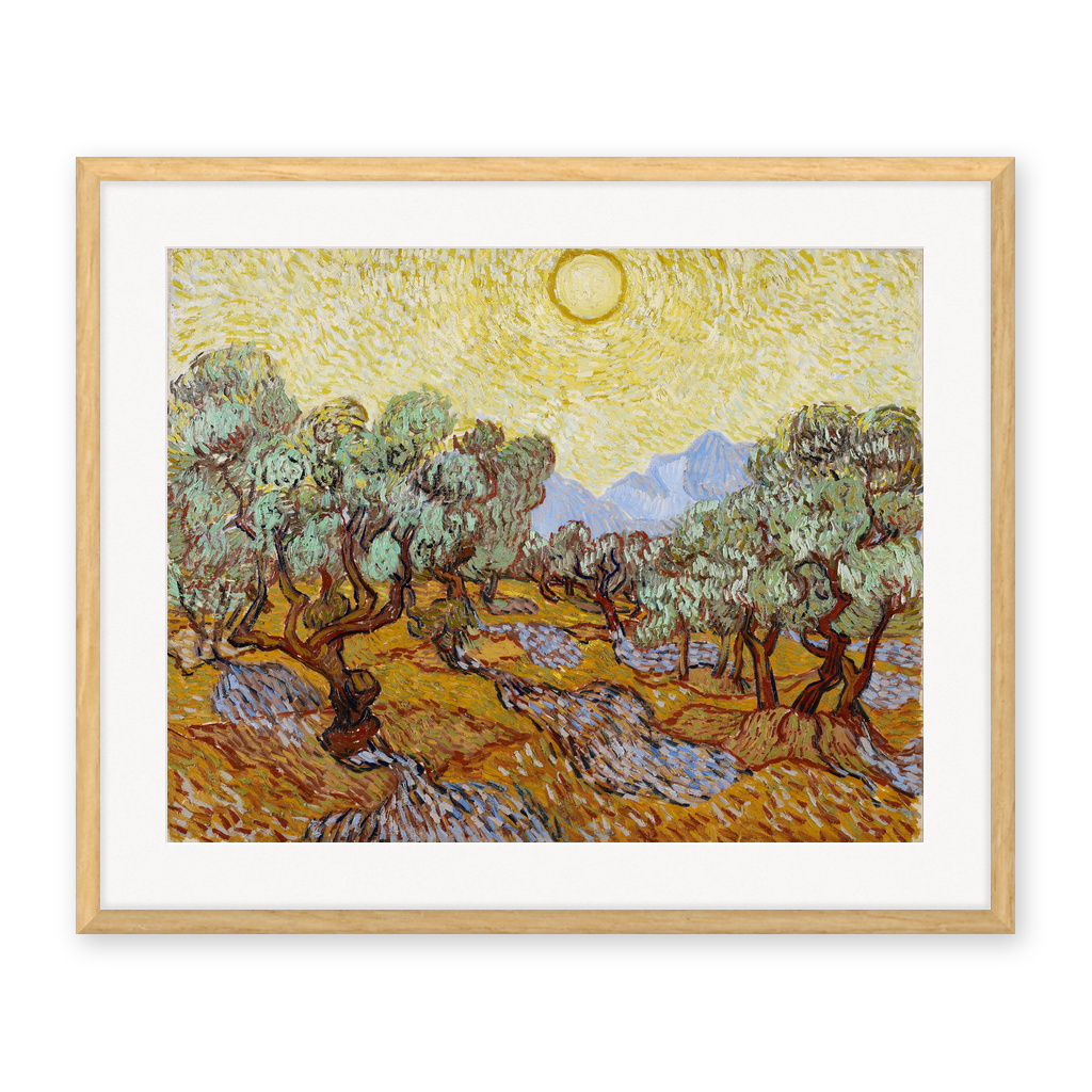 Olive trees with Yellow Sky and Sun