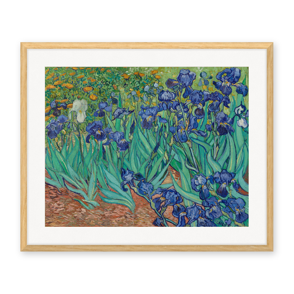 Irises